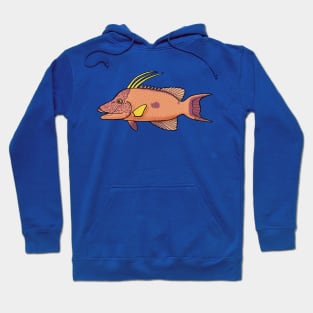 Hogfish Hoodie